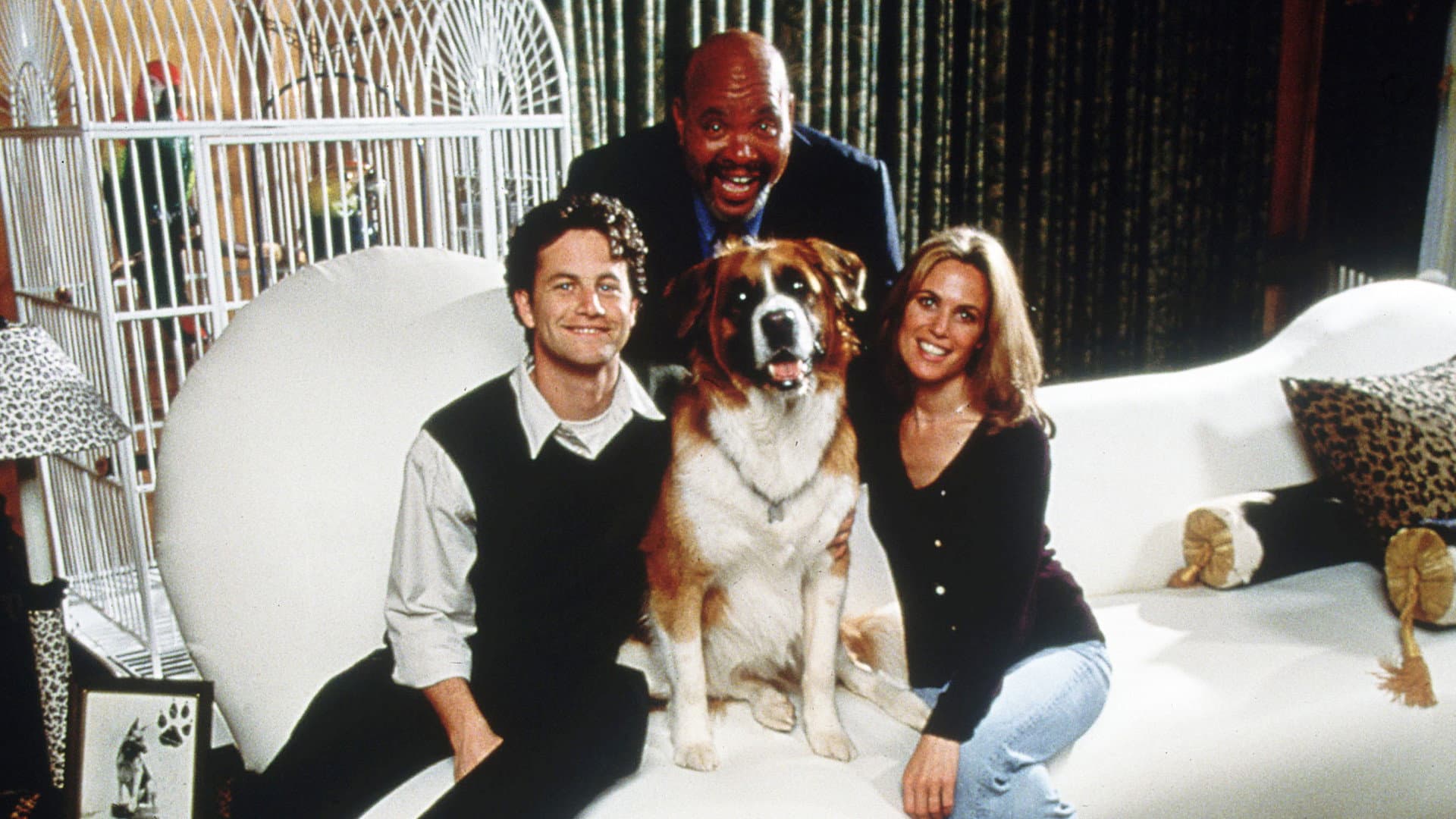 Una fortuna da cani - immagine