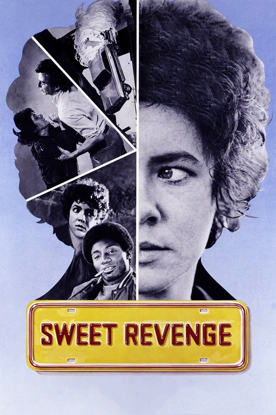 Poster di Sweet Revenge