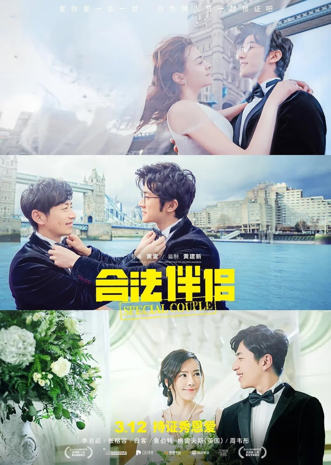 Poster di 合法伴侣