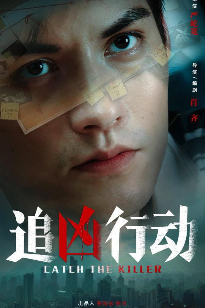 Poster di 追凶行动