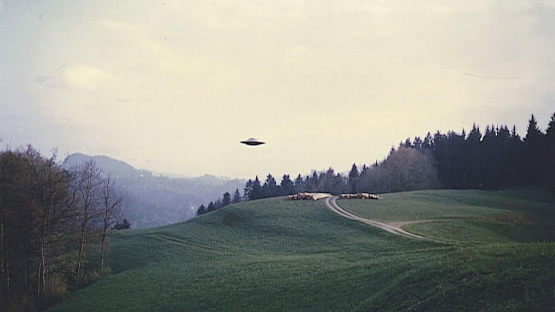 Contact - immagine