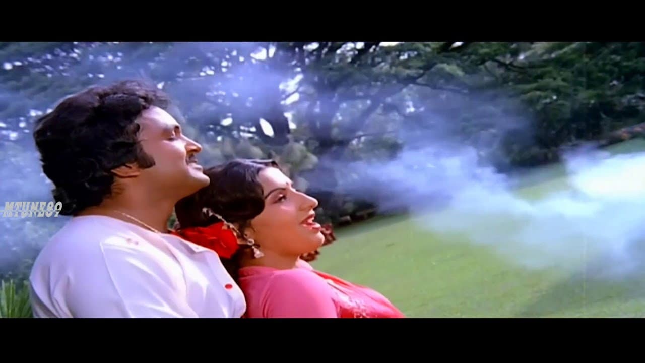 வெள்ளை ரோஜா - immagine