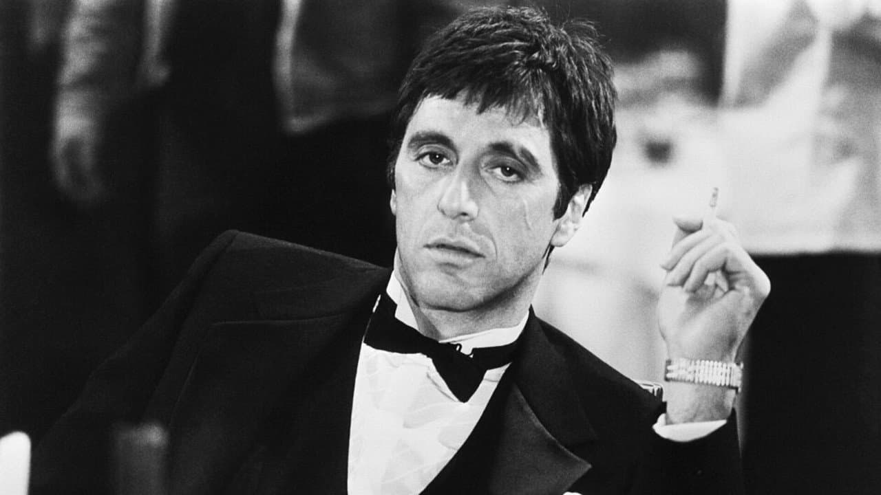Al Pacino : le Bronx et la fureur - immagine