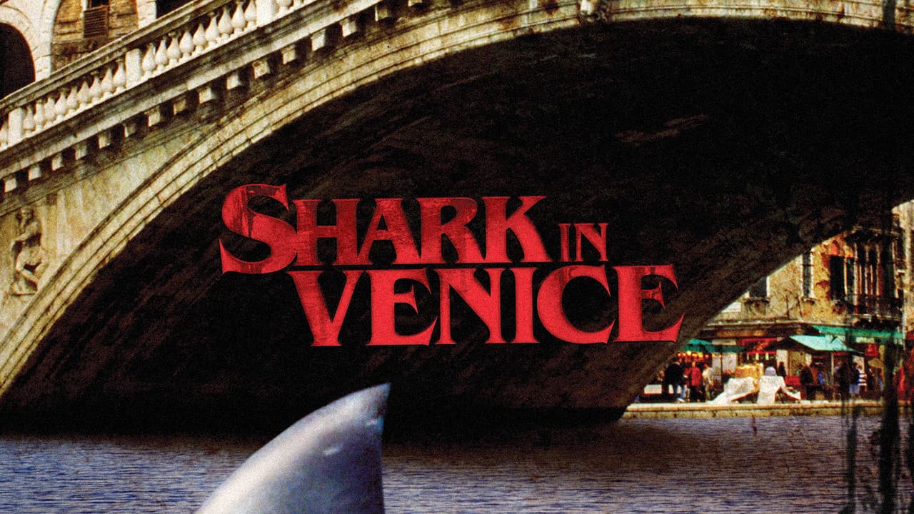 Shark in Venice - immagine