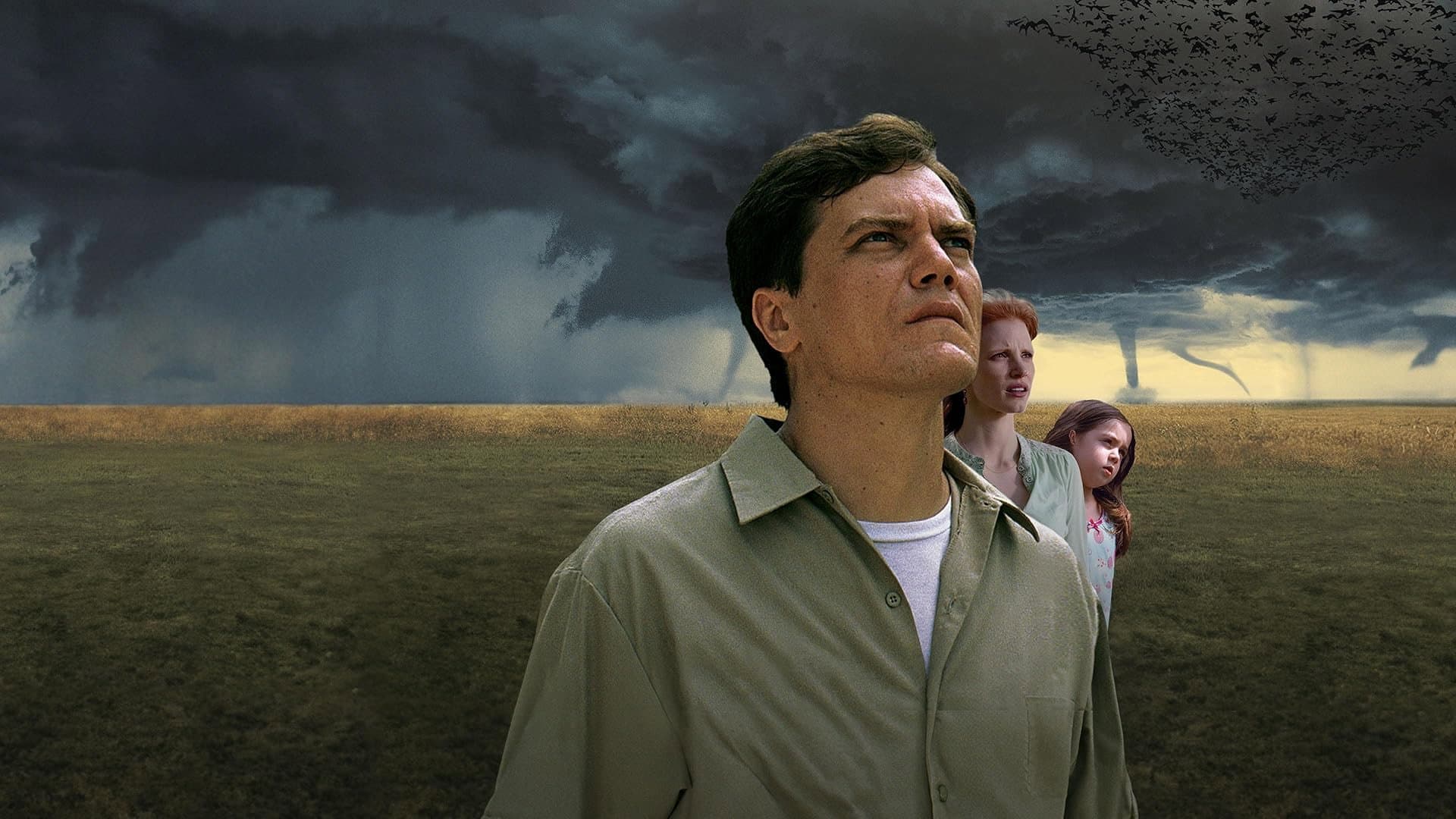 Take Shelter - immagine