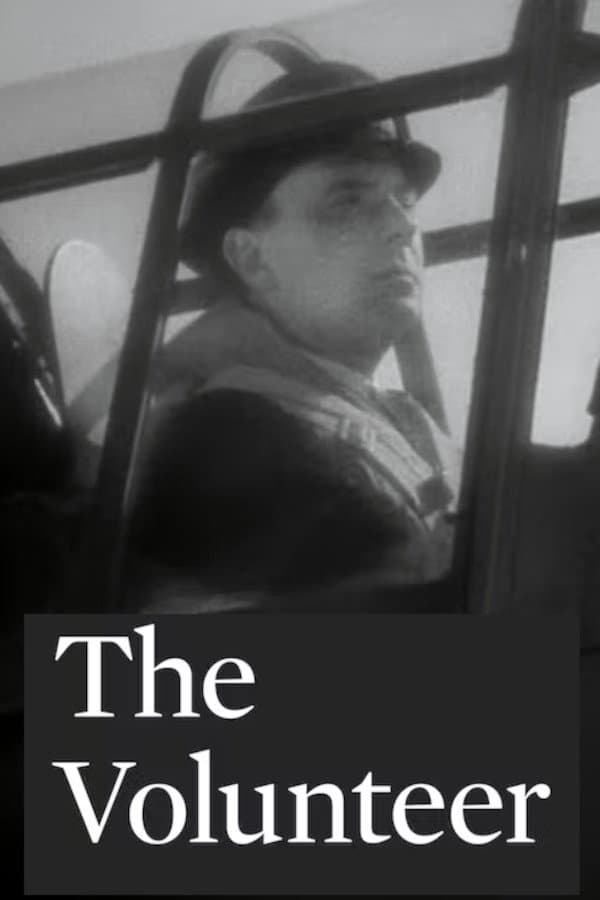 Poster di The Volunteer