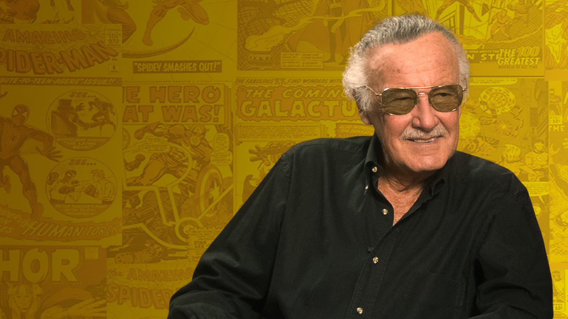 Stan Lee - Mostri e meraviglie - immagine
