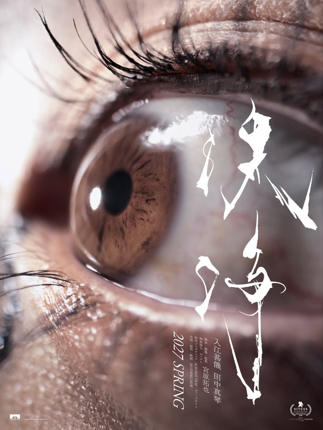 Poster di 洗浄