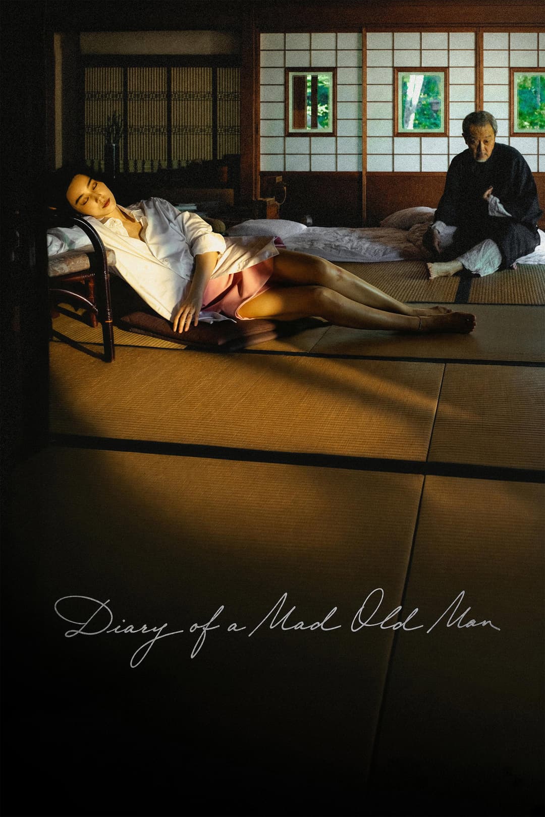 Poster di Diary of a Mad Old Man