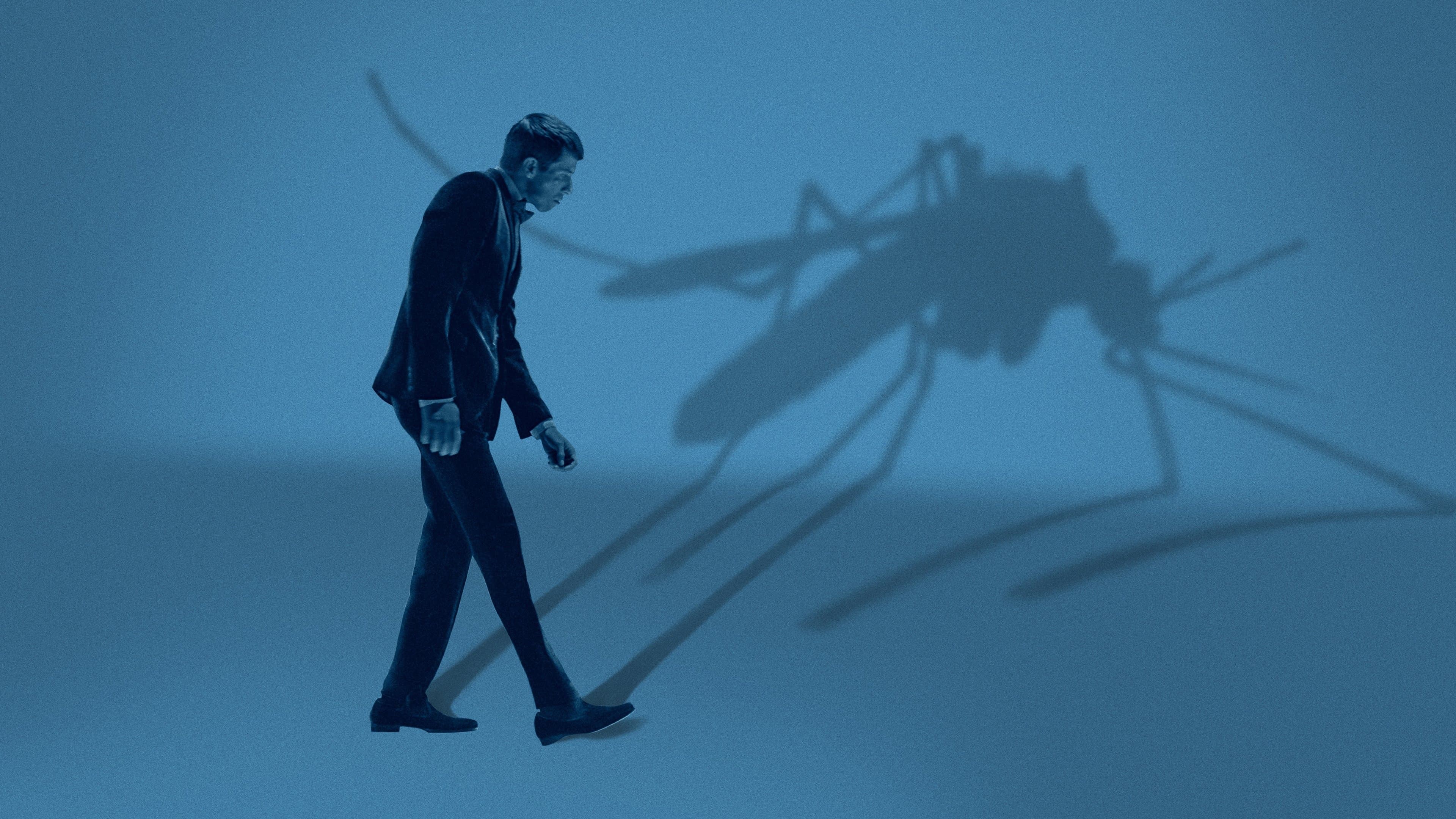 Mosquito State - immagine