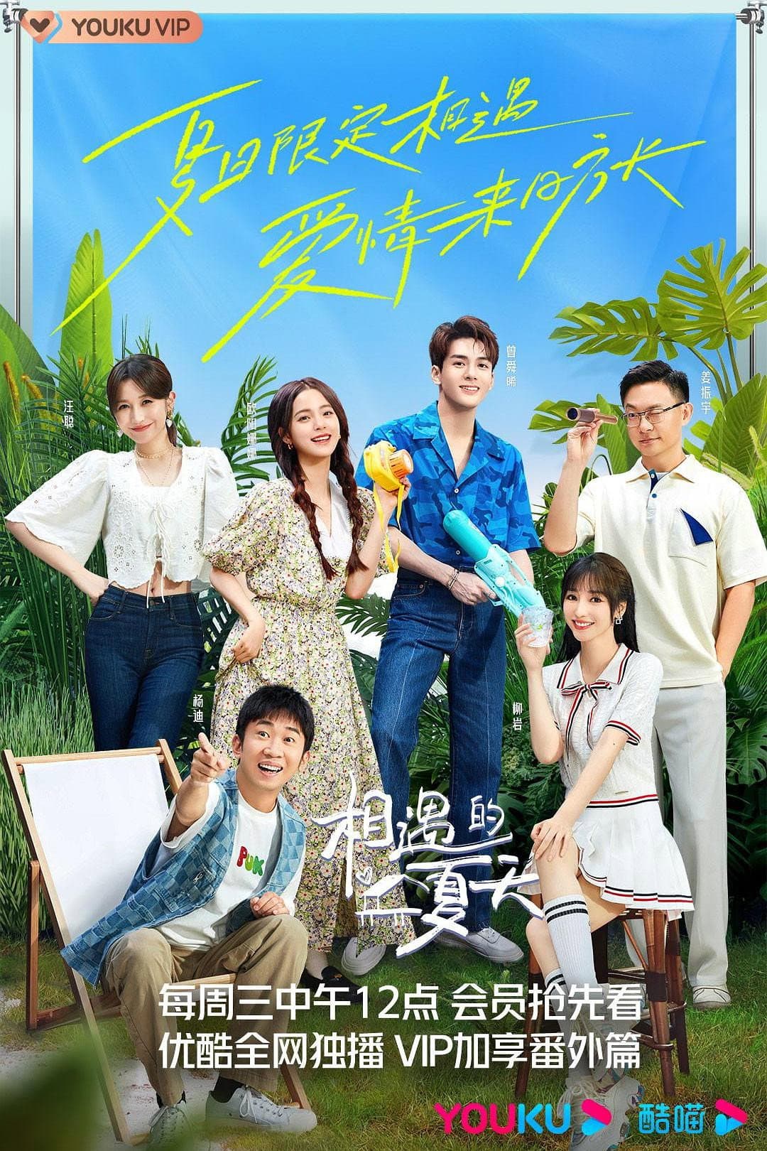 Poster di 相遇的夏天