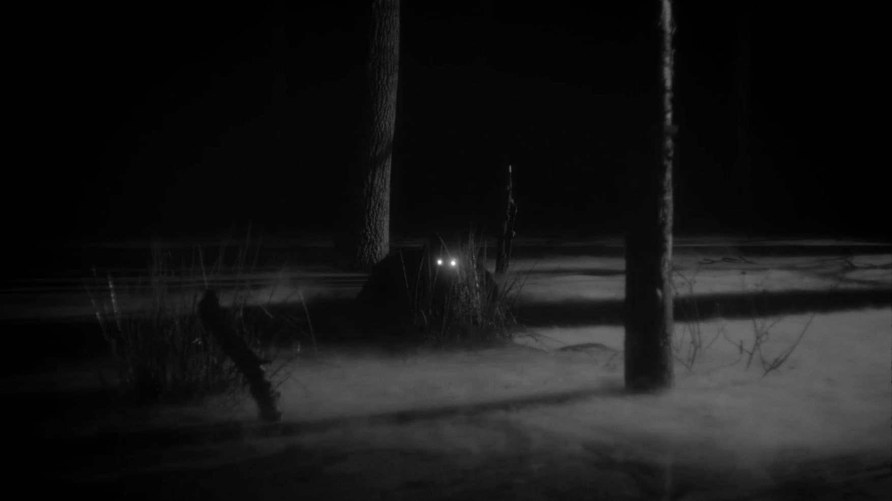 Nøcken - immagine