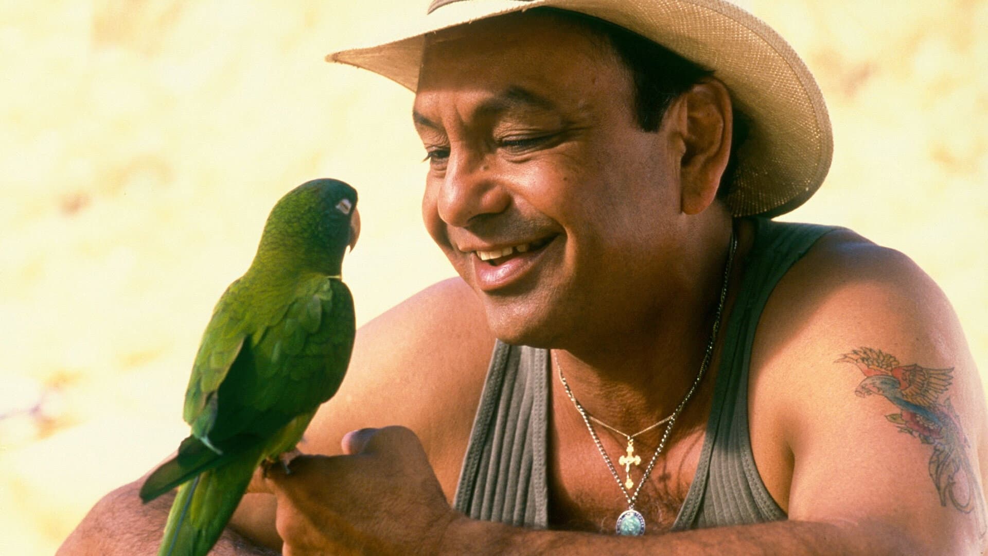 Paulie - Il pappagallo che parlava troppo - immagine