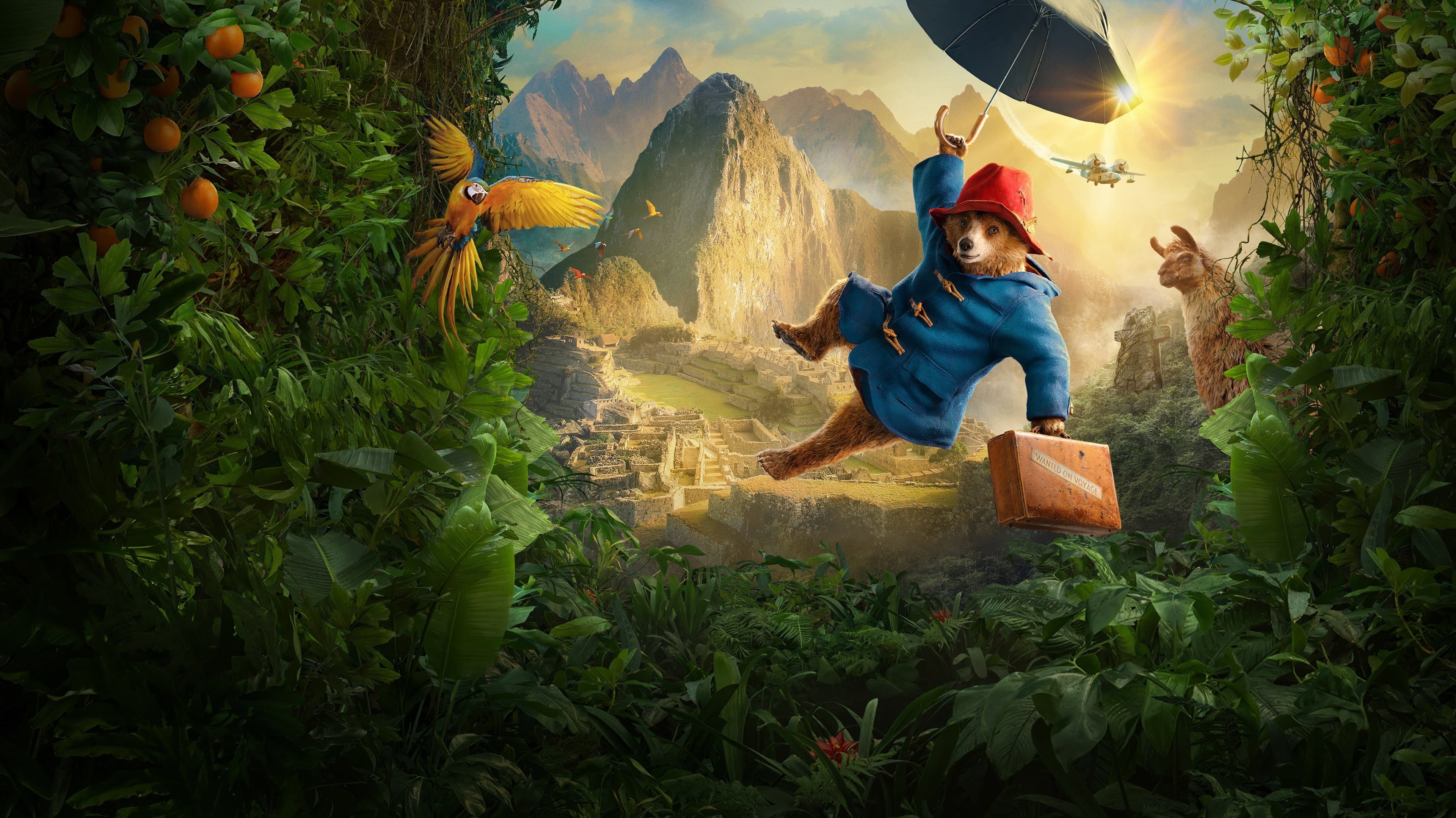 Paddington in Perù - immagine
