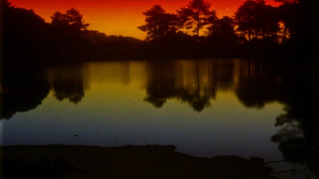 The Territory - immagine