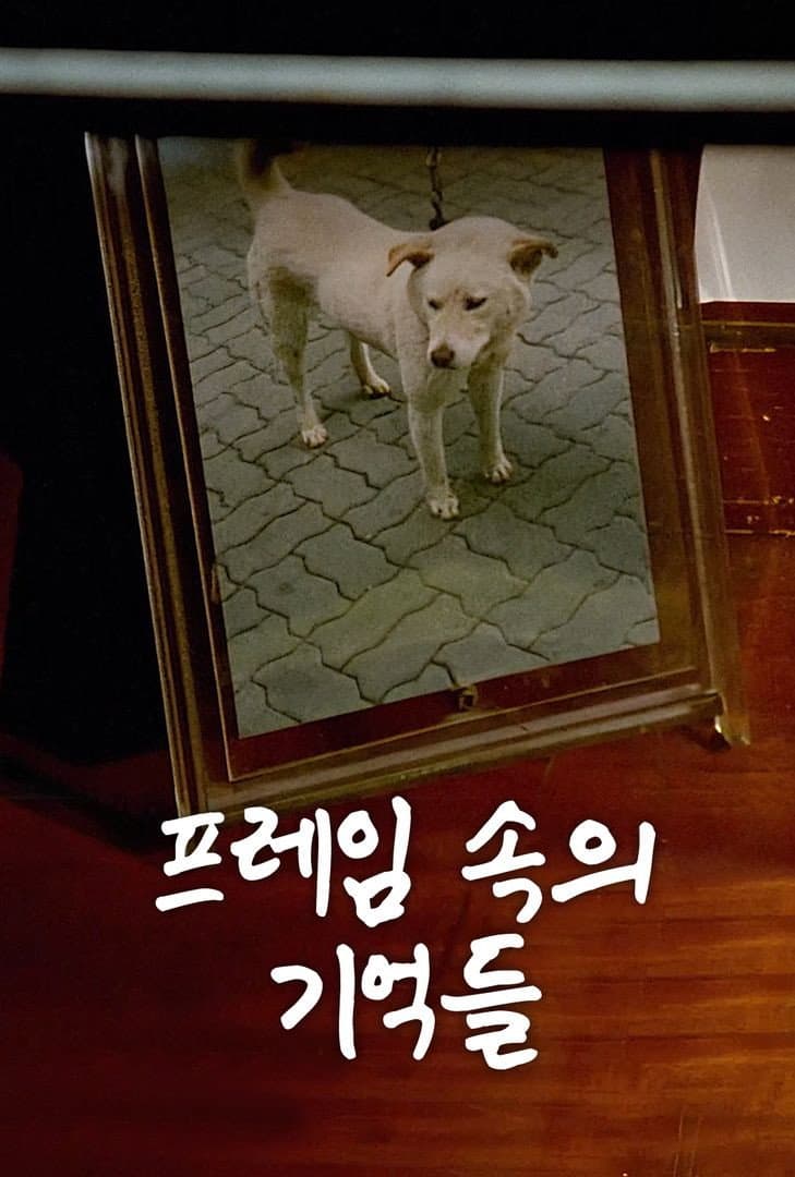 Poster di 프레임 속의 기억들