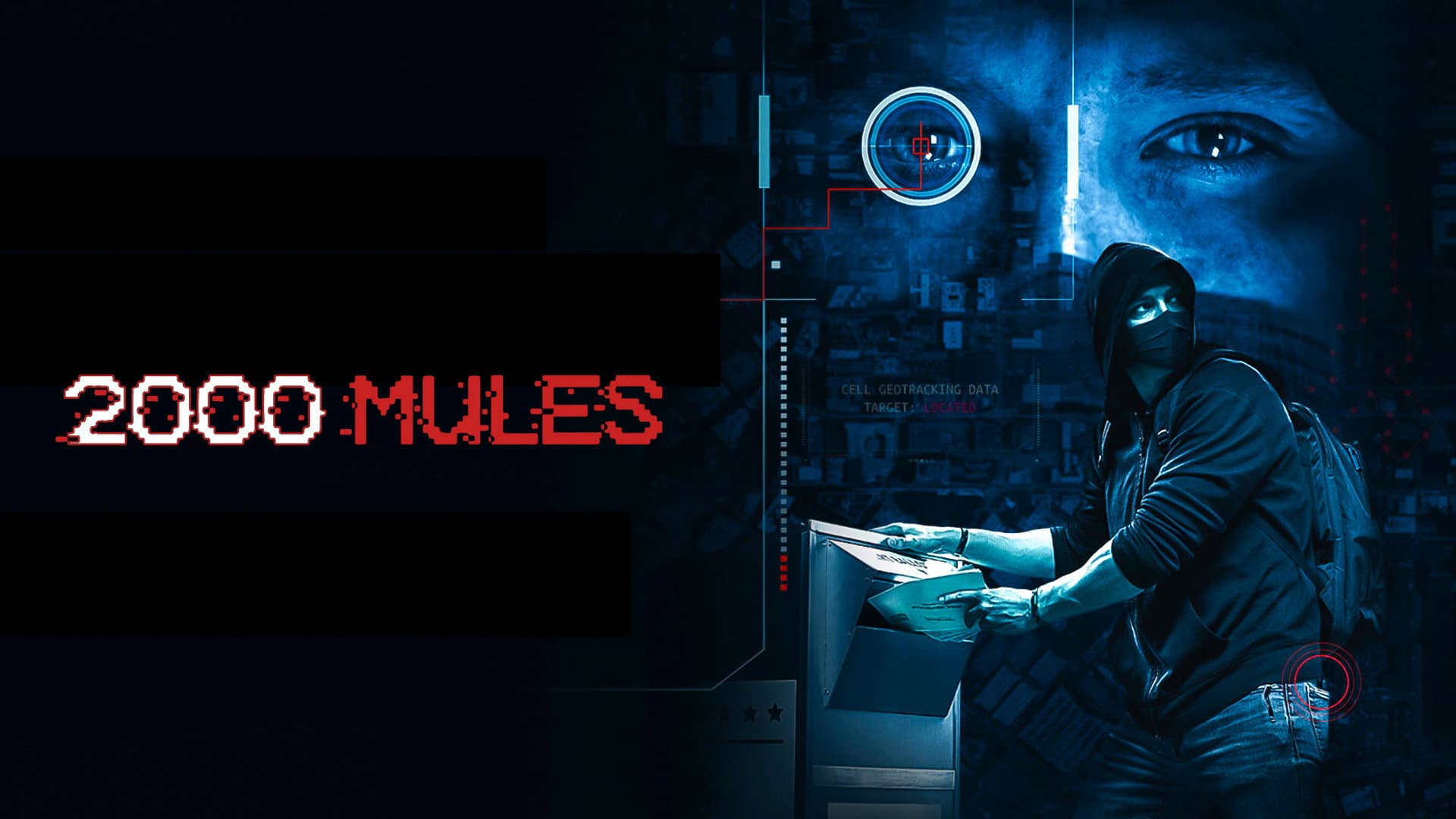 2000 Mules - immagine
