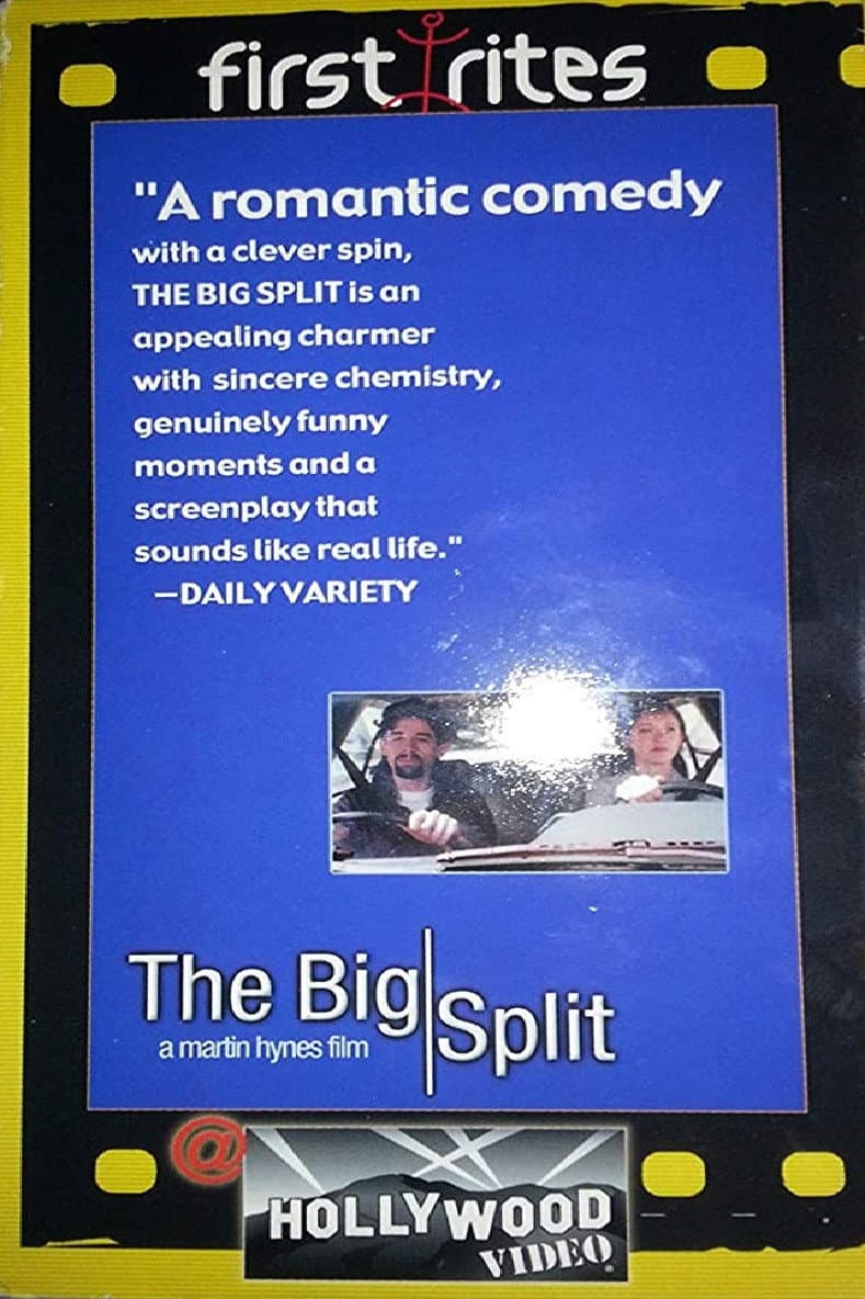 Poster di The Big Split