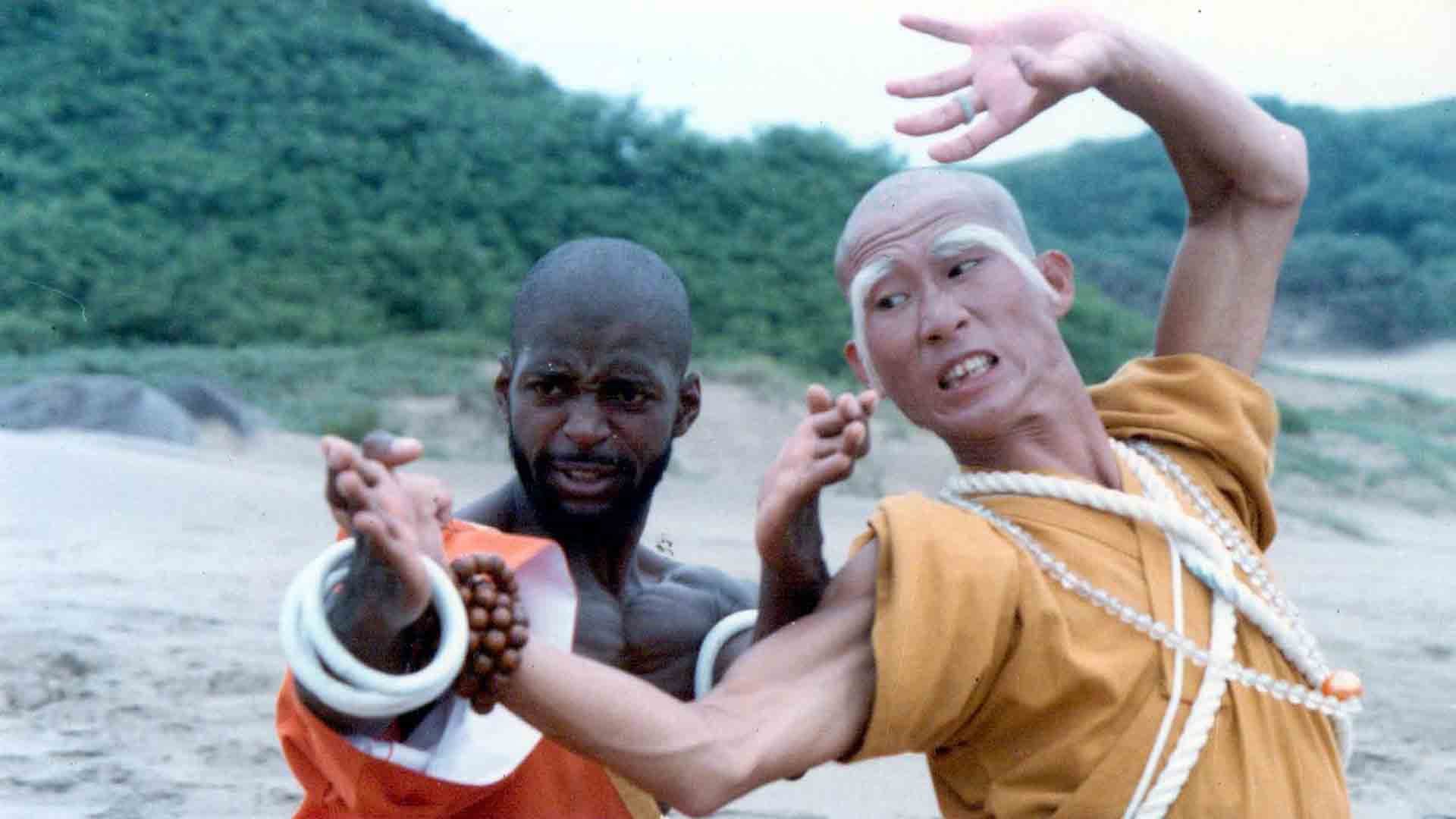 Shaolin Dolemite - immagine