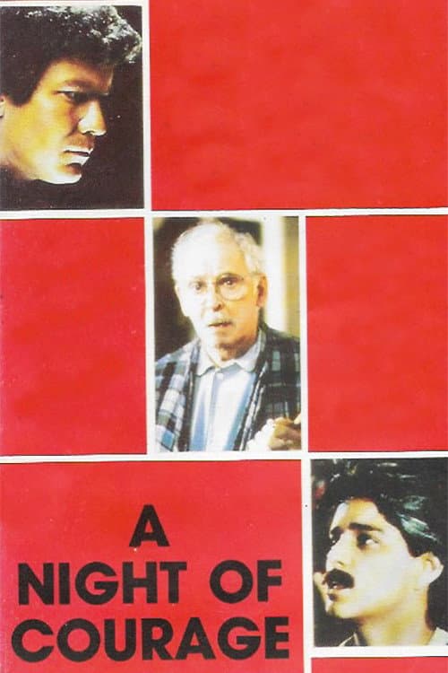 Poster di Night of Courage
