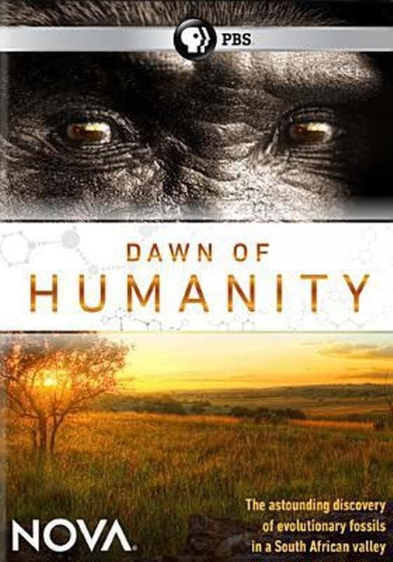 Poster di Dawn of Humanity