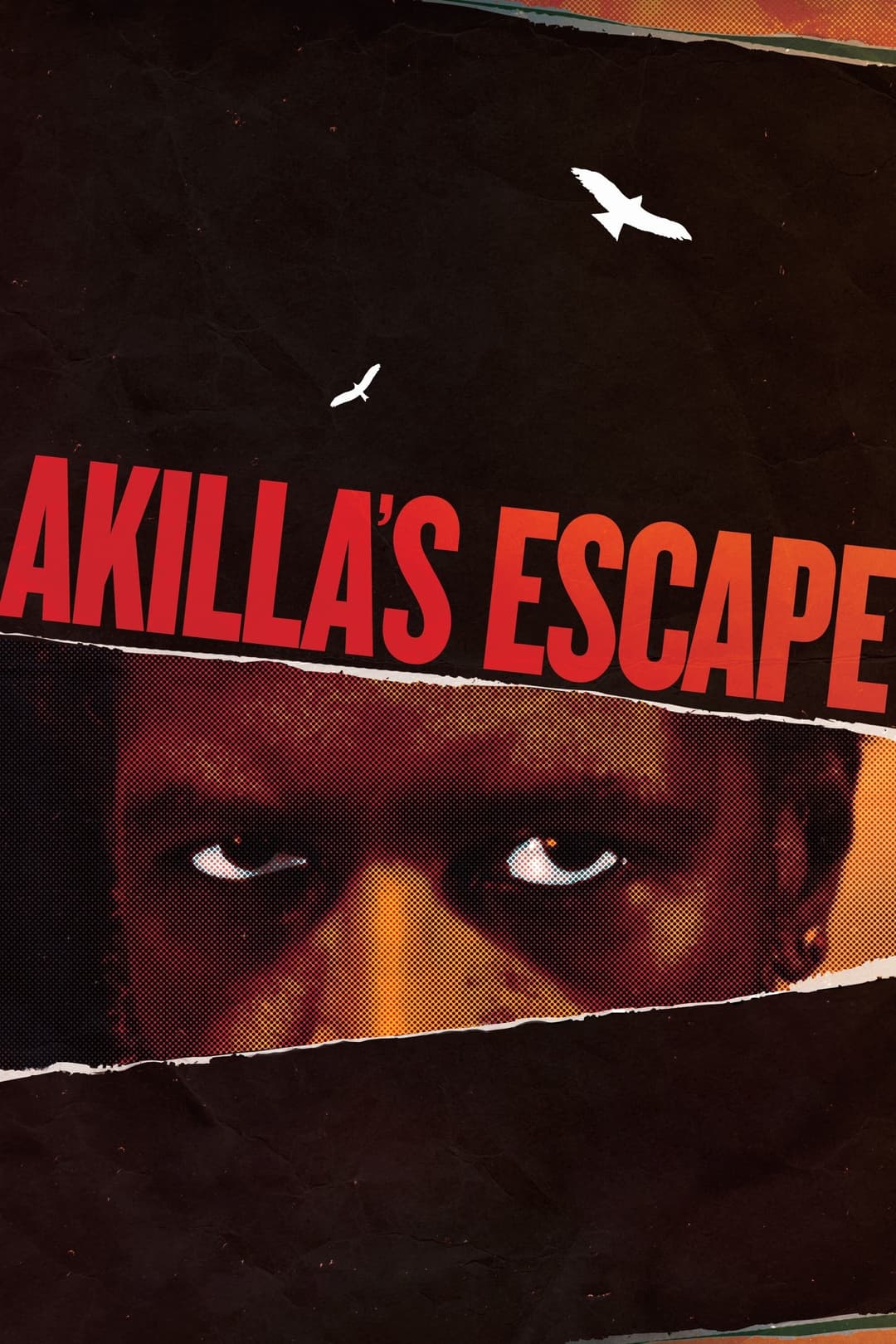 Poster di Akilla's Escape