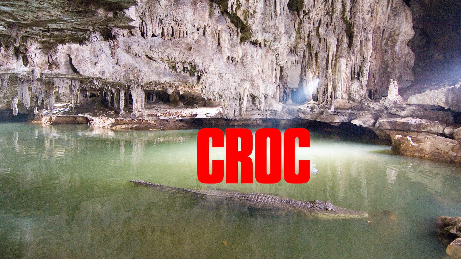 Croc - Caccia al predatore - immagine
