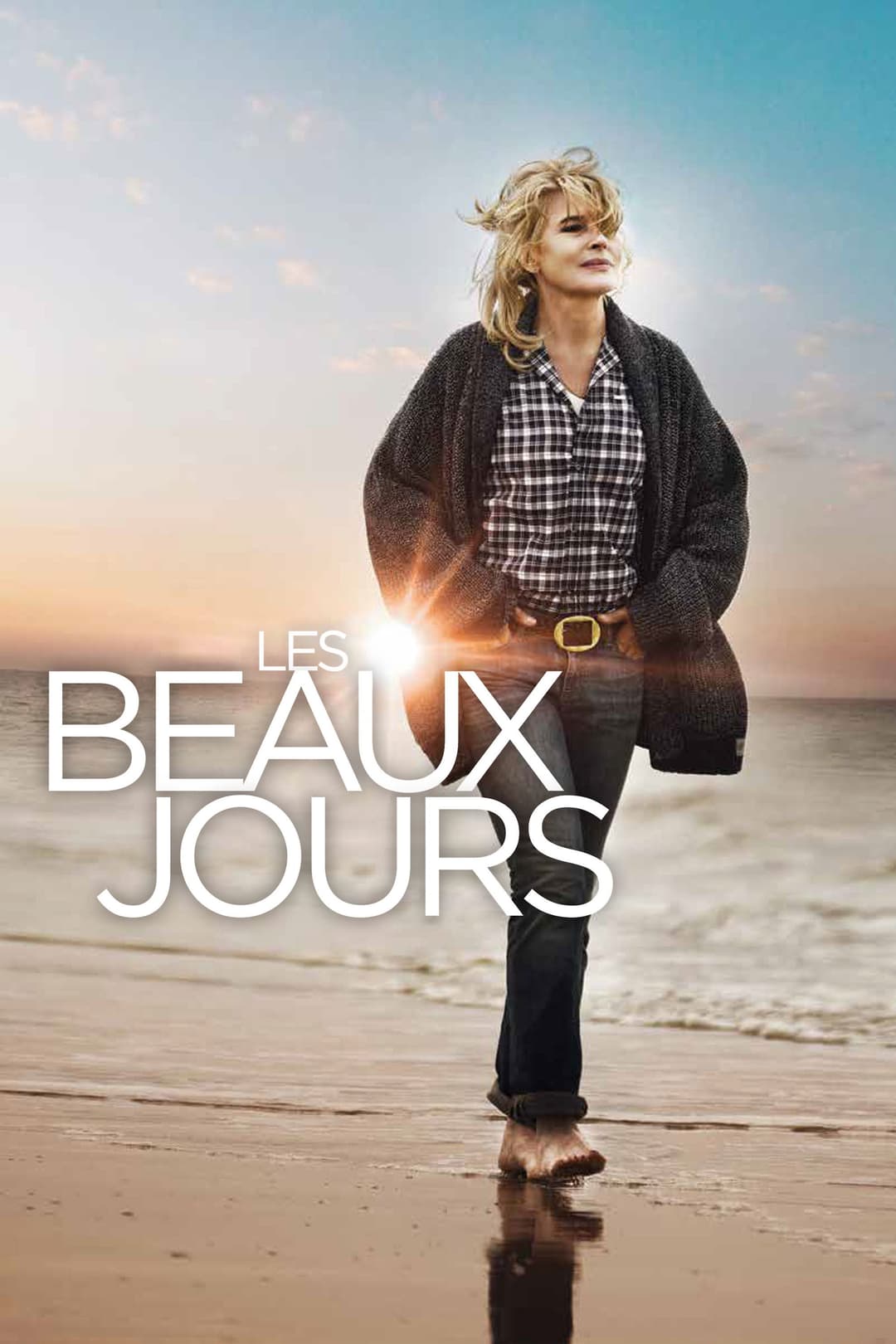 Poster di Les Beaux Jours