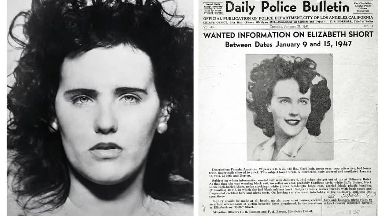 Black Dahlia Confidential - immagine