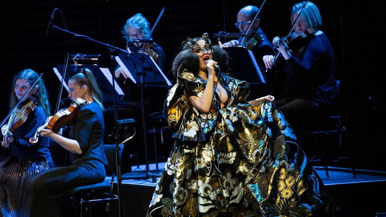 Björk Orkestral - immagine