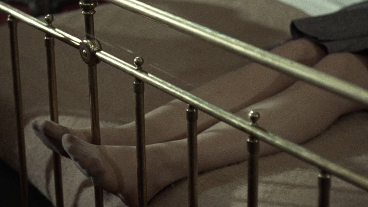 Così bella così dolce - immagine