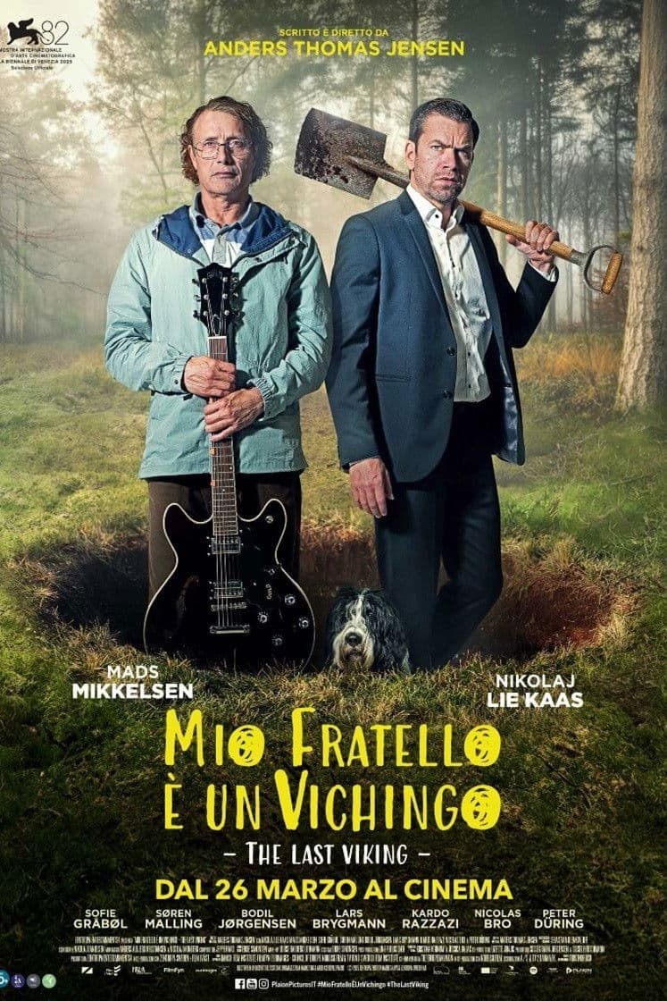 Poster di Mio fratello è un vichingo
