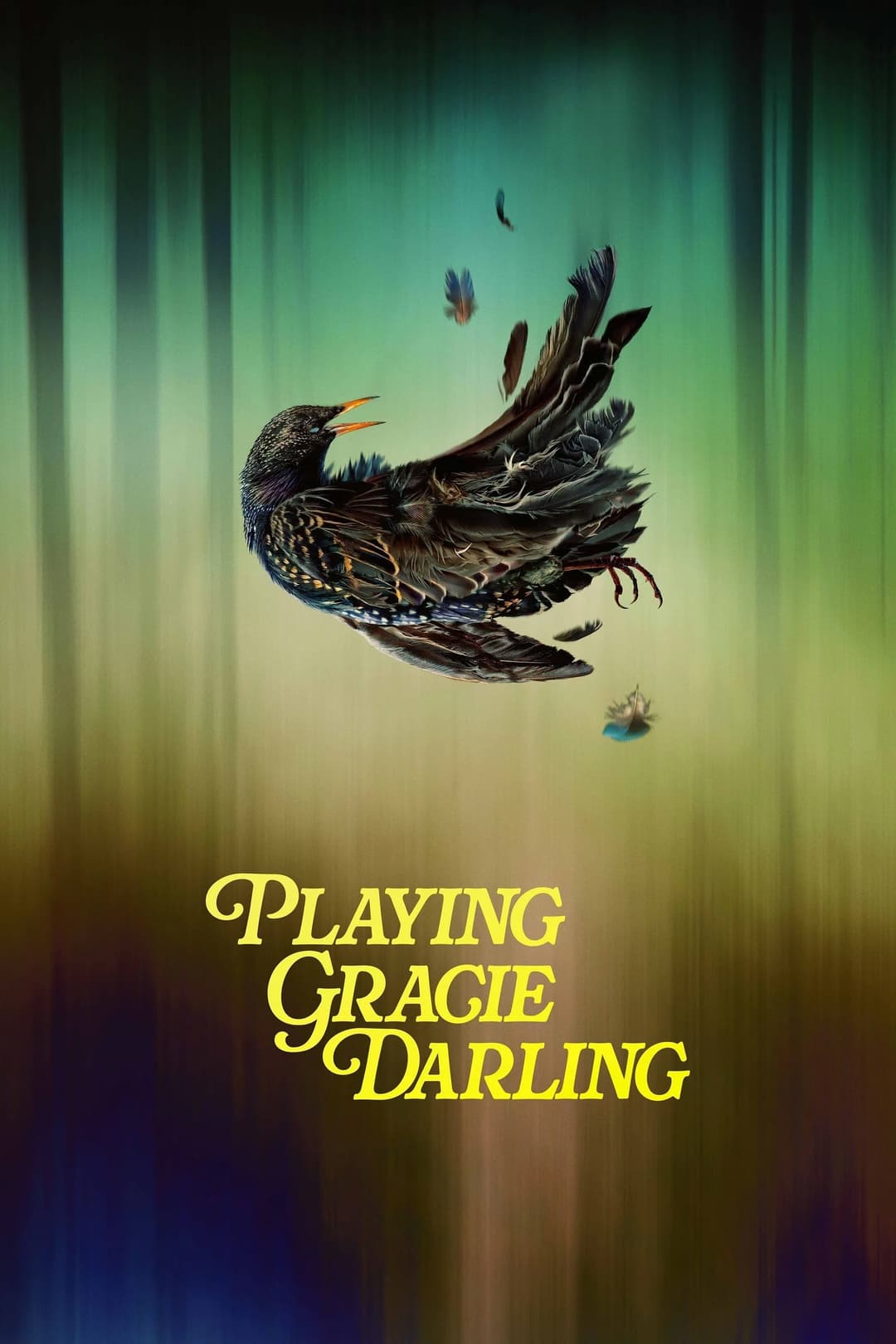 Poster di Playing Gracie Darling