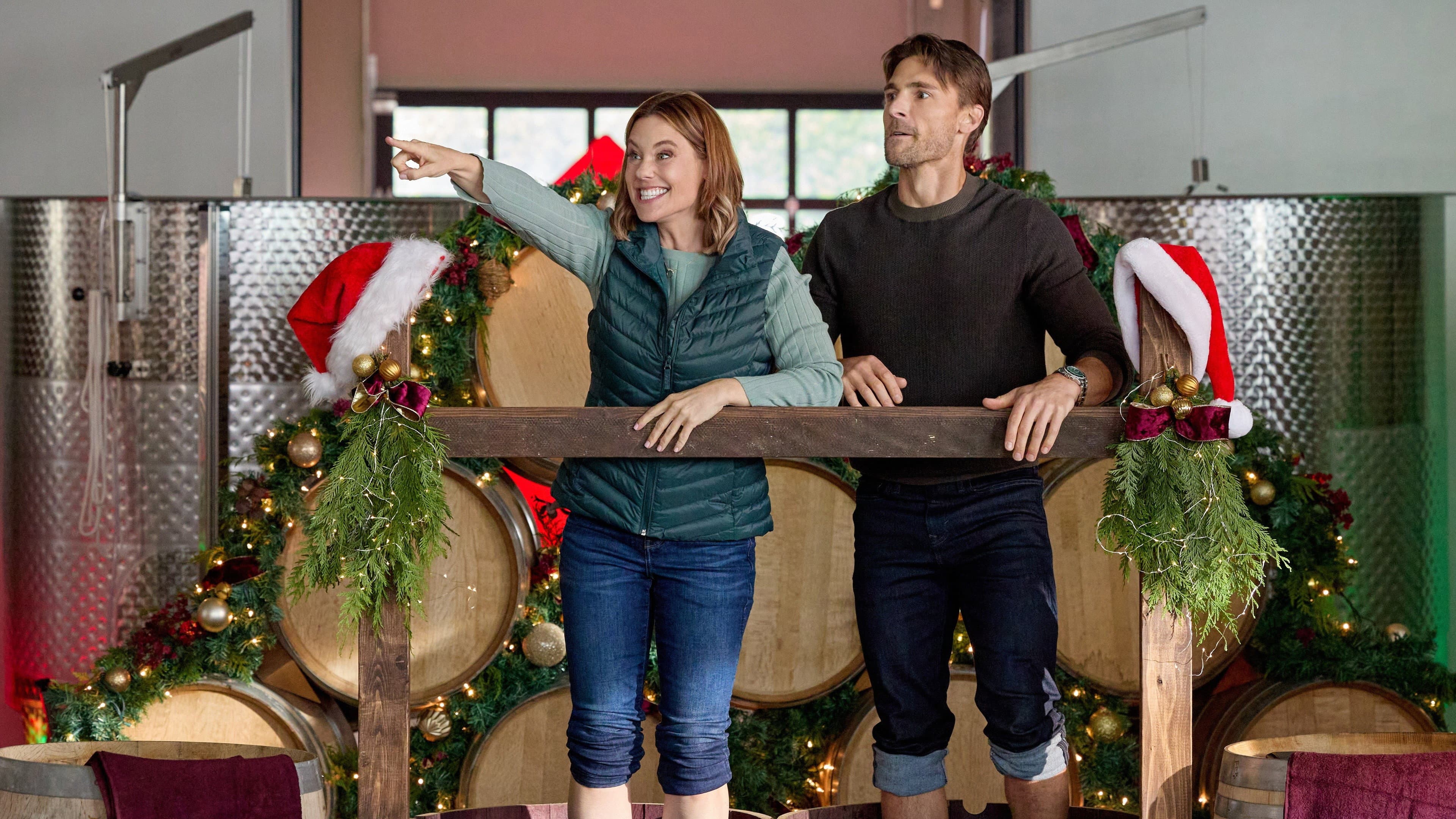 Jingle Bell Run - immagine