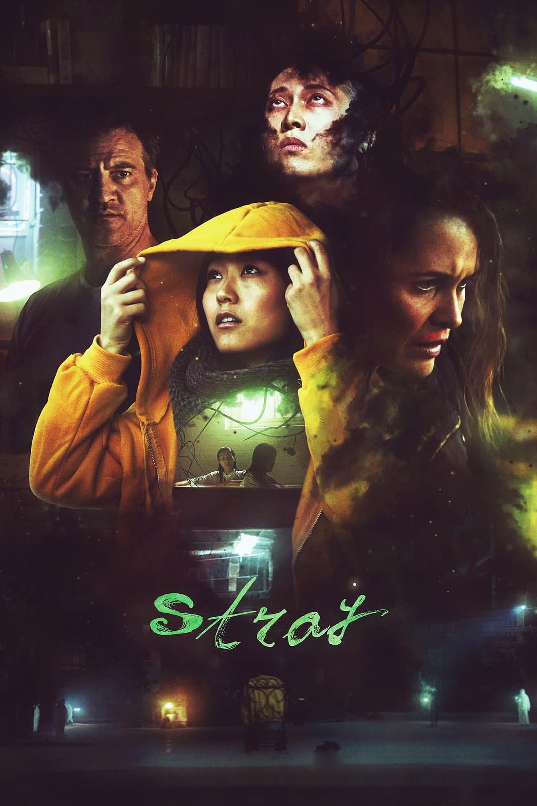 Poster di Stray