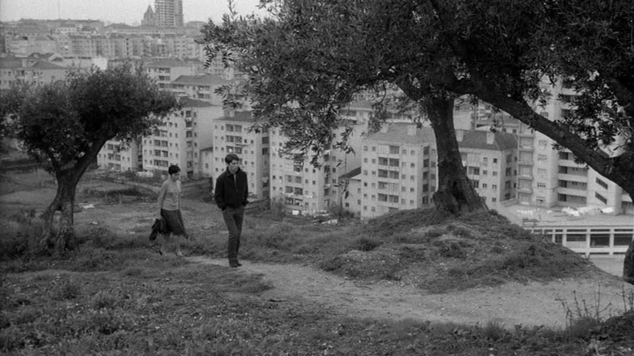 The Green Years - immagine