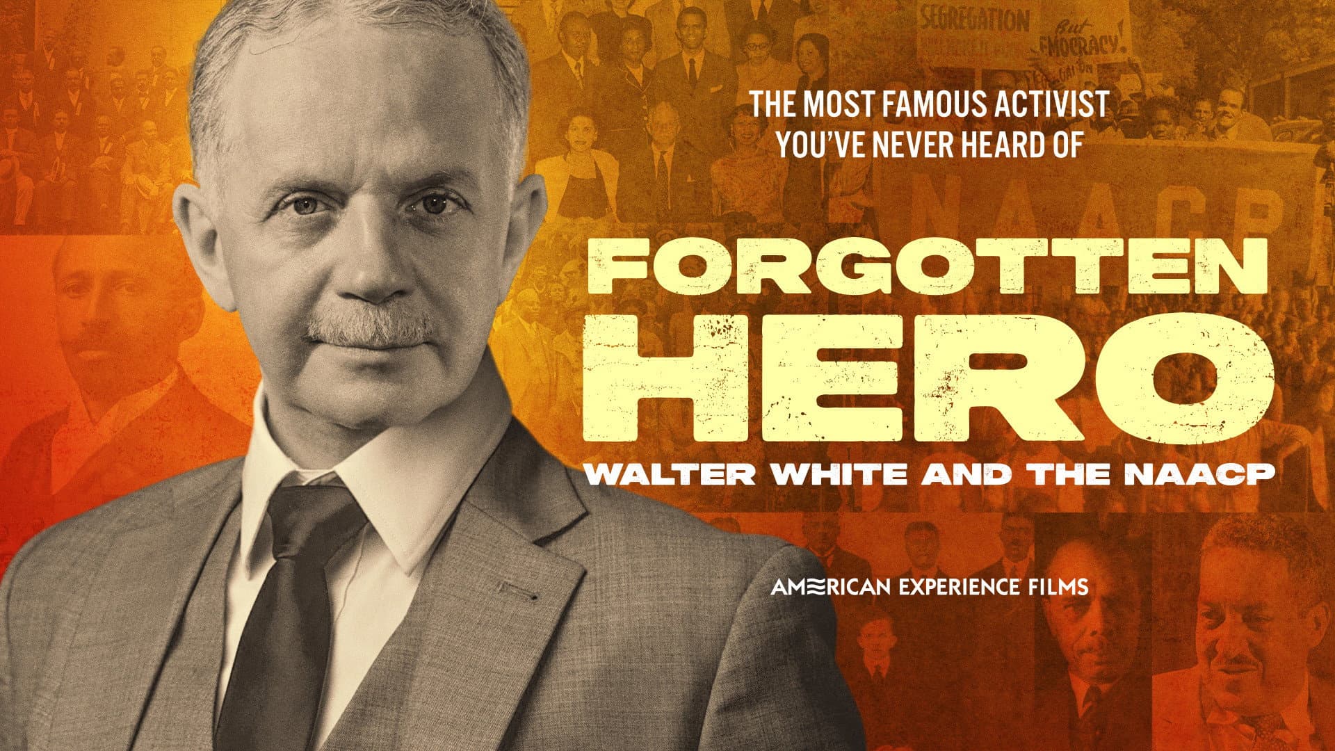 Forgotten Hero: Walter White and the NAACP - immagine