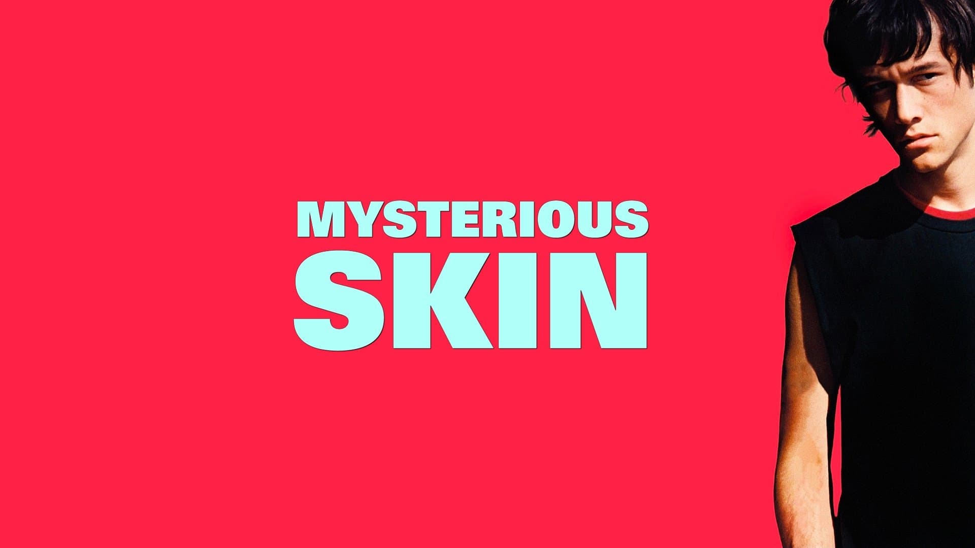 Mysterious Skin - immagine