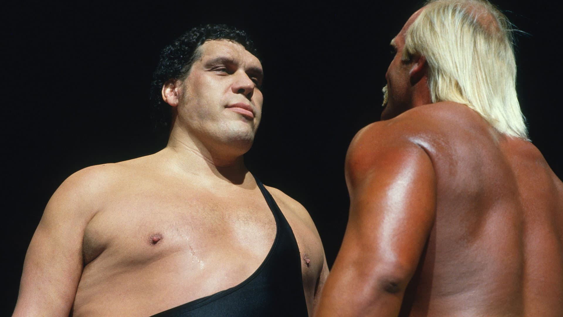 Andre the Giant - immagine