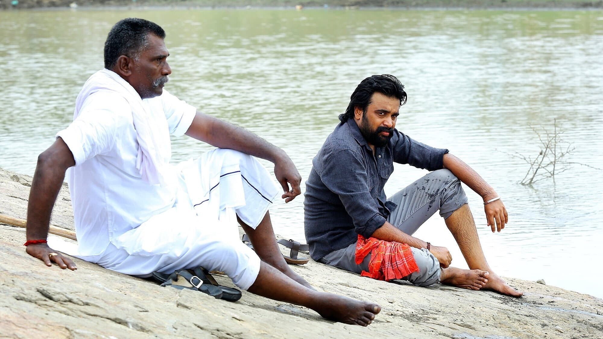 கிடாரி - immagine