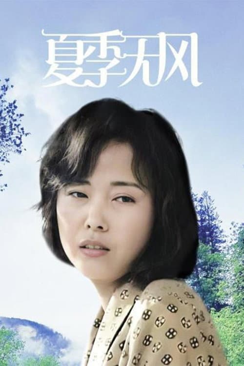 Poster di 夏季无风