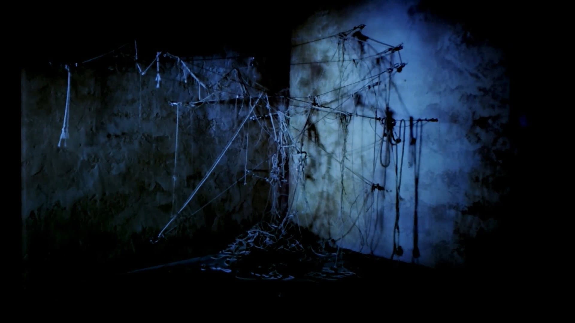 Undo - immagine