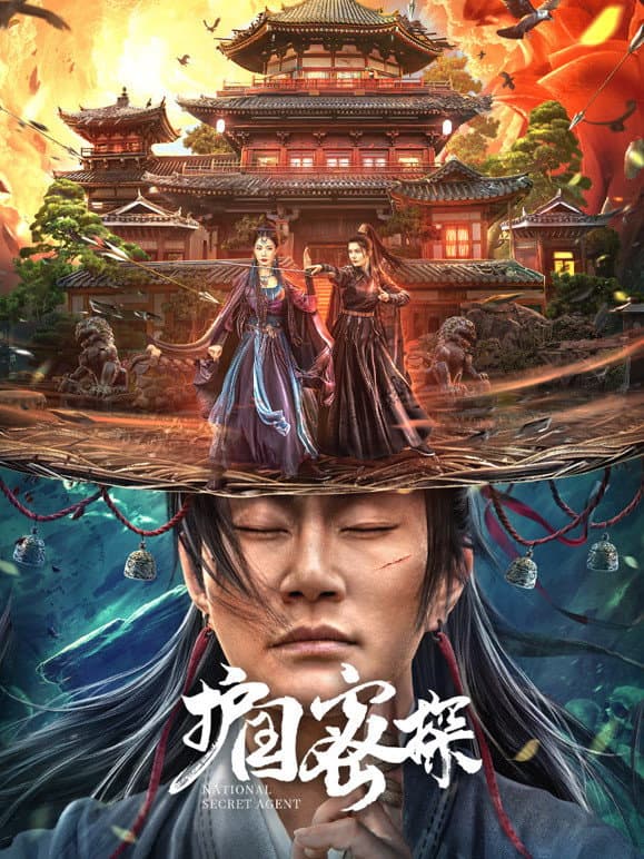 Poster di 护国密探