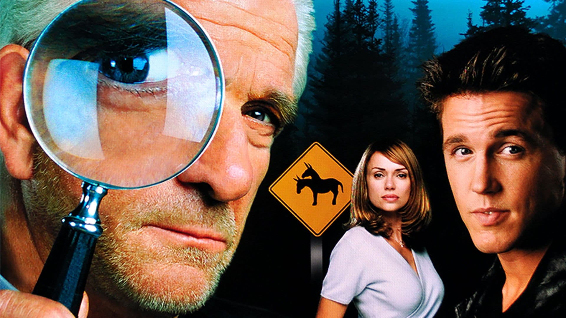 Camouflage - Professione detective - immagine