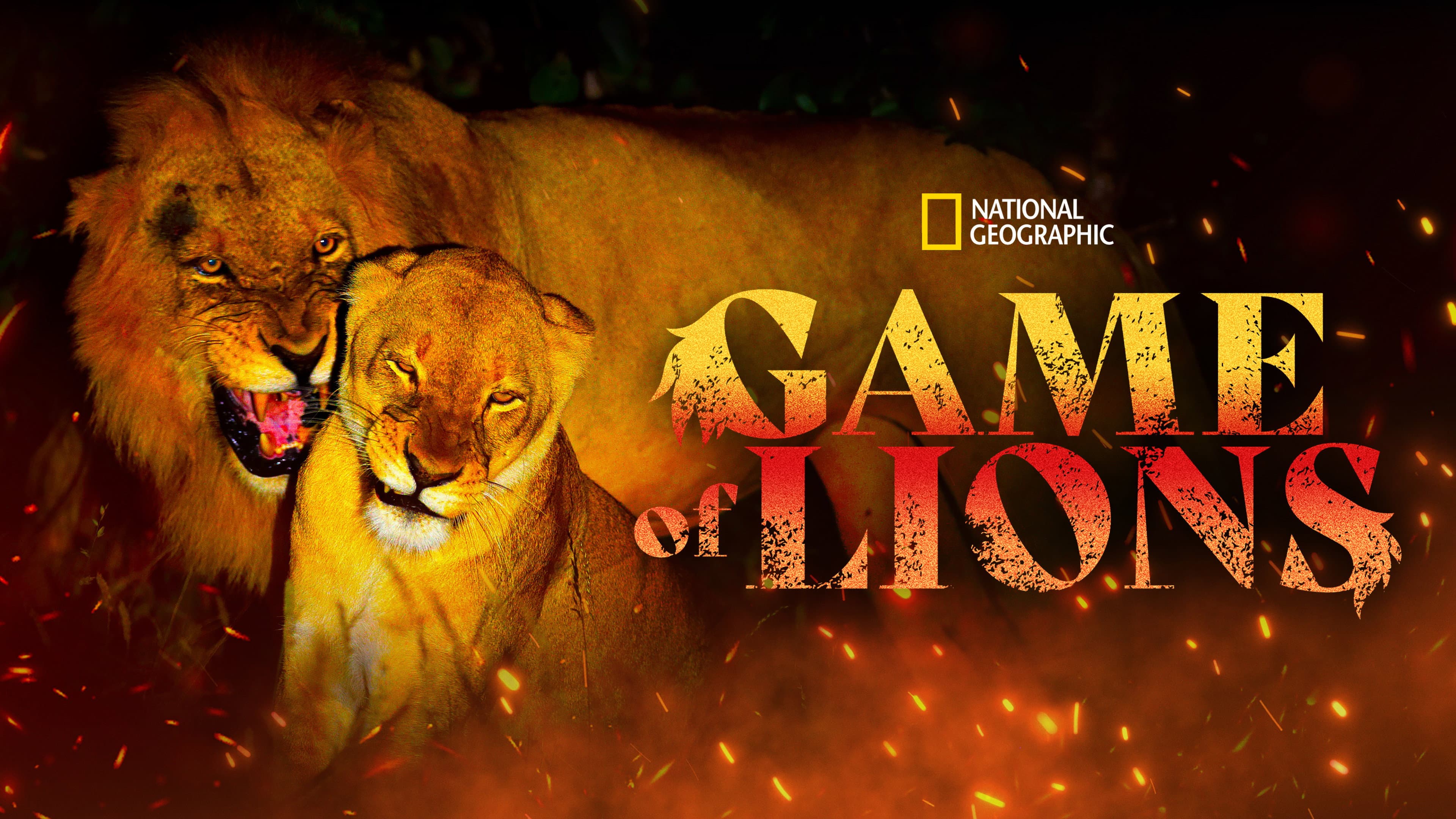 Game of Lions - immagine