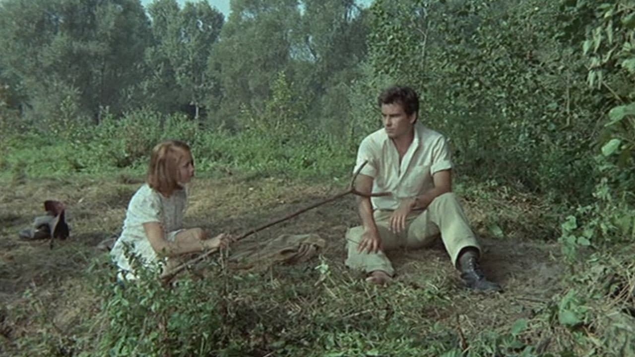 Il salvatore - immagine