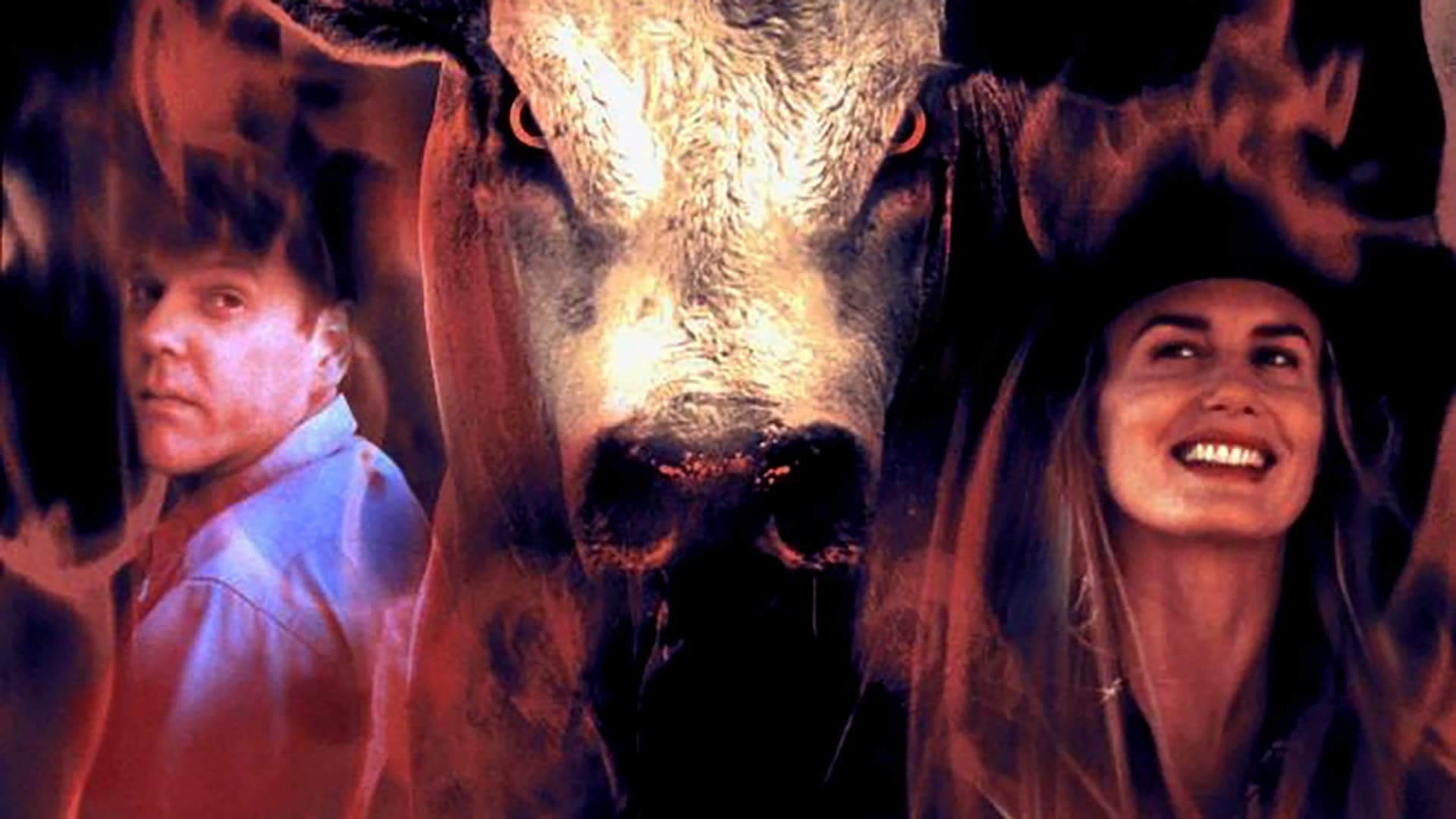 Ring of Fire - Arena di fuoco - immagine