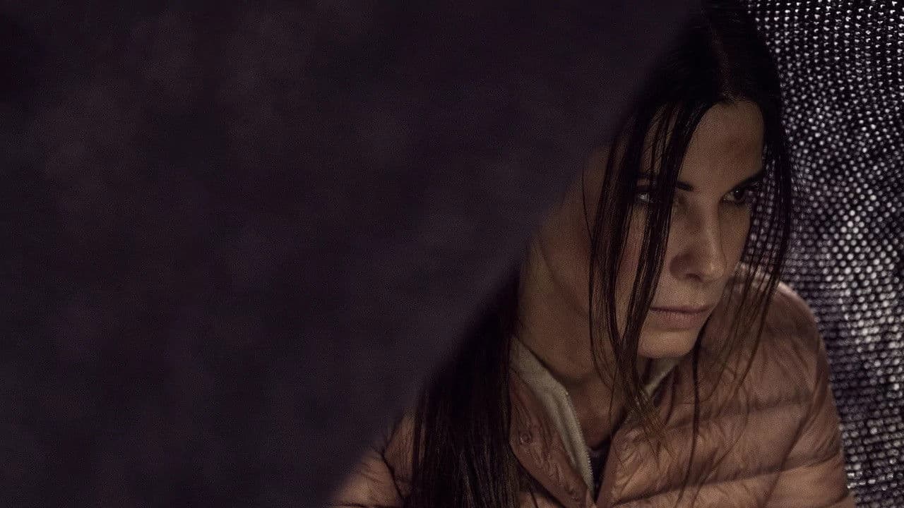 Bird Box - immagine
