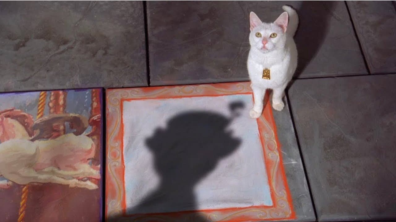 Il gatto che guardò il Re - immagine