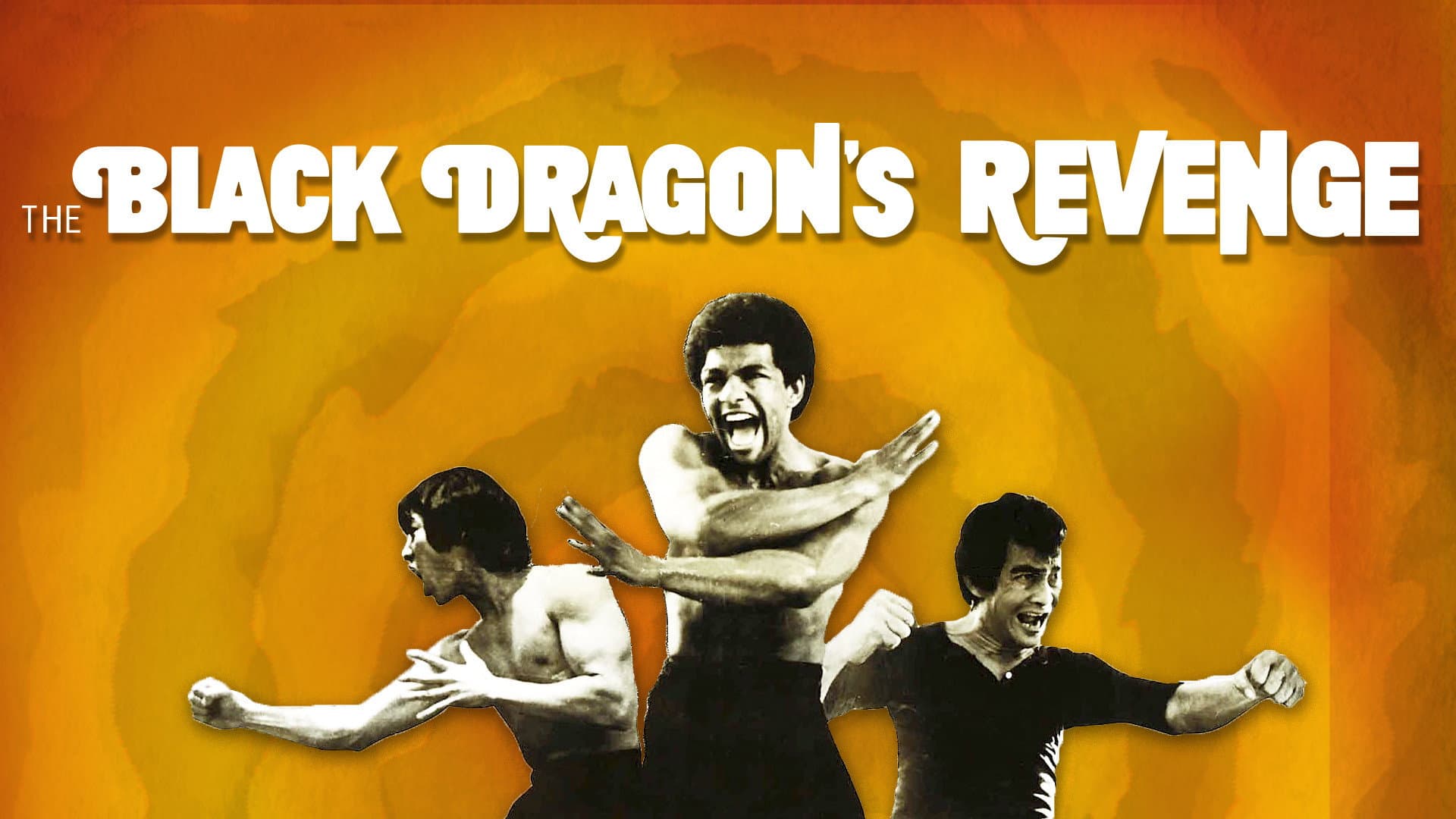 Bruce Lee: la vendetta del drago nero - immagine